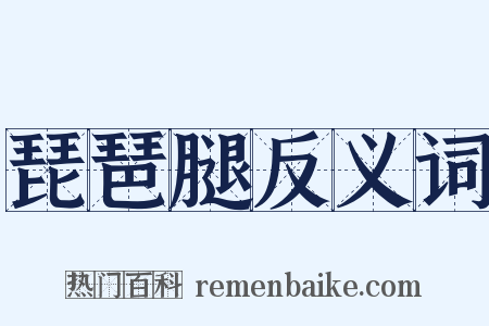 琵琶腿反义词是什么意思的图片